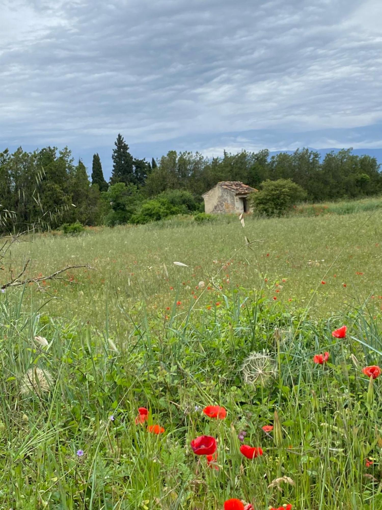 Inspiration Maison Entiere Avec Jardin ペルヌ・レ・フォンテーヌ エクステリア 写真